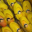 동작구장애인가족지원센터 | 기업 지자체 소방서 부모교육 조직소통 장애인식개선교육에 그립라이브커머스까지 제작과 전국 강의 후기