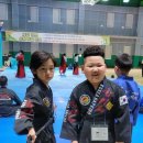 화곡숭무관 이미지