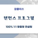 취업을 더 빠르게 하는 방법, 잡클라쓰 텐먼스 프로그램