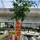 유랜드약국 이미지