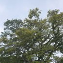 포토제닉&가야 - 청양군 중앙로9길 5 | 괌 남부투어 한인택시로 공항픽업부터 사랑의절벽까지 한번에! 🌴✈️