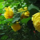 음악옥타브 이미지