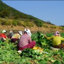 한려개발(주) 이미지