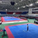 경희대태백태권도장 이미지