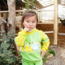 정다운목장 이미지