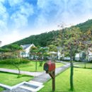 강애산애 이미지