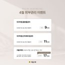 라움스떼 네이버블로그