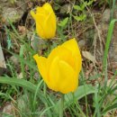 가평 힐링스타 펜션 이미지