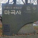 11월21일 우수수대장님 공주 마곡사 단풍여행 이미지