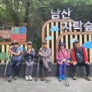1019회차 5월26일 남산숲길 토토투투대장님 결산보고 이미지