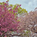 선흘1리경로당 이미지