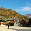 사자평원 이미지