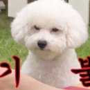 마슬랜