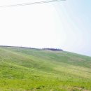 서산농장 이미지