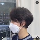 준호헤어라인 이미지