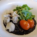 아라애견 이미지