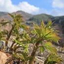 인제농장 이미지