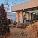 더써드라운지 세종 | [세종 장군면] 세종신상카페~오하라운지, 솔직 리뷰 후기