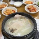 비원 | 제주 비원 노형 삼계탕 제주도민의 솔직 후기
