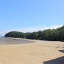 주연수기