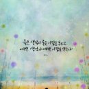 홈스토리365 이미지