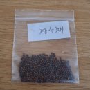 경수채 일본채소 발송 이미지