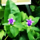 GS죽산주유소 이미지