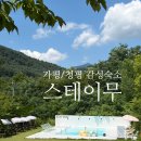 청평화이트펜션 | 가평 뚜벅이 숙소 추천ㅣ수영장 예쁜 청평 스테이무 내돈내산