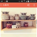 빨강부엉이