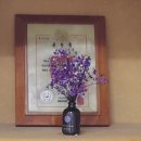 행정사 사무소 창 이미지