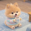 이:은동물병원 | 동물병원 개원, 아직도 블로그만 열심히 하면 된다고 생각하시나요?