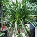 광명농원 이미지