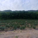 낙산농장 이미지