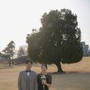[스냅]하얀스냅|푸릇푸릇 올림픽공원 야외 웨딩스냅 촬영 후기