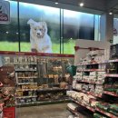 옥수수 펫샵 이미지