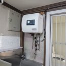 남창애견 이미지