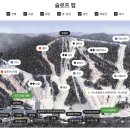 휘닉스 스노우파크 티스토리