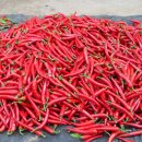 영석농장 이미지