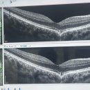 서울신세계안과의원 이미지