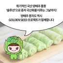 사계절 솔루션