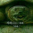자라