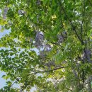 거칠현공원 이미지