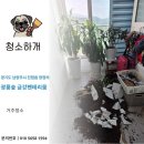금강환경 - 공주시 | 남양주 진접읍 광릉숲 금강펜테리움 거주청소 후기ㅣ생활 공간을 쾌적하게 만드는 청소하개
