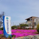 임자초등학교 병설유치원 이미지