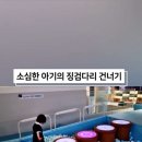 타이니어스 이미지