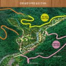 강릉솔향수목원 티스토리