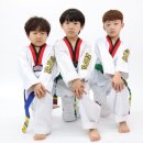 봉화태권도장 이미지