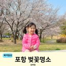 환호공원 화장실 | 포항 벚꽃 실시간 환호공원 아이랑 다녀온 후기 (준비물 꿀팁)