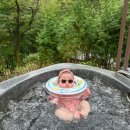 행복의무대 | 포레스트 리솜 해브나인스파 아기랑 방문 후기 (할인, 아쿠아슈즈, 준비물, 수유실)