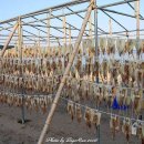 안압지농장 이미지